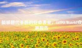 能够替代手机的安卓表皇，OPPO Watch2众测报告