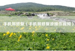 手机屏修复（手机屏修复液操作视频）