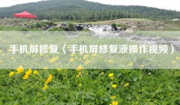 手机屏修复（手机屏修复液操作视频）