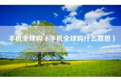 手机全球购（手机全球购什么意思）
