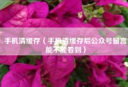 手机清缓存（手机清缓存后公众号留言能不能看到）
