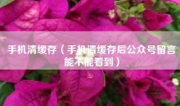 手机清缓存（手机清缓存后公众号留言能不能看到）
