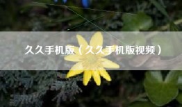 久久手机版（久久手机版视频）