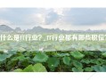 什么是IT行业？ IT行业都有哪些职位？