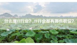 什么是IT行业？ IT行业都有哪些职位？