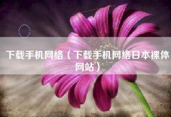下载手机网络（下载手机网络日本裸体网站）