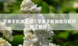 苹果手机测血压（苹果手机测血压软件哪个最好）