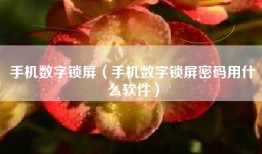 手机数字锁屏（手机数字锁屏密码用什么软件）