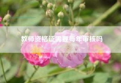 教师资格证需要每年审核吗