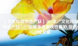 【文化和自然遗产日】2023年“文化和自然遗产日”：加强非遗系统性保护 促进可持续发展