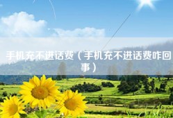 手机充不进话费（手机充不进话费咋回事）