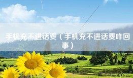 手机充不进话费（手机充不进话费咋回事）