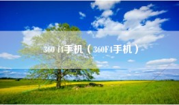 360 f4手机（360F4手机）