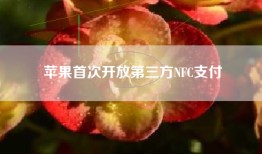 苹果首次开放第三方NFC支付