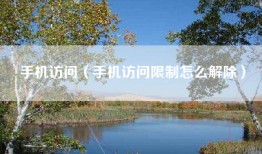 手机访问（手机访问限制怎么解除）