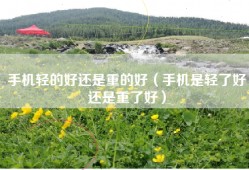 手机轻的好还是重的好（手机是轻了好还是重了好）
