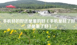 手机轻的好还是重的好（手机是轻了好还是重了好）