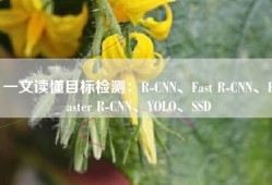 一文读懂目标检测：R-CNN、Fast R-CNN、Faster R-CNN、YOLO、SSD