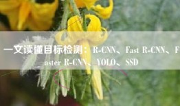 一文读懂目标检测：R-CNN、Fast R-CNN、Faster R-CNN、YOLO、SSD