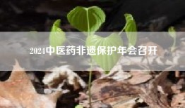 2024中医药非遗保护年会召开