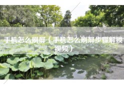 手机怎么刷屏（手机怎么刷屏步骤解锁视频）