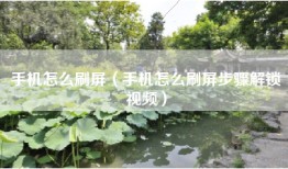 手机怎么刷屏（手机怎么刷屏步骤解锁视频）