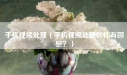 手机视频处理（手机视频处理软件有哪些？）