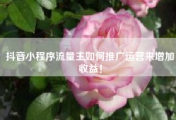 抖音小程序流量主如何推广运营来增加收益！