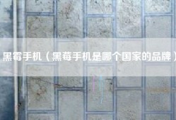 黑霉手机（黑莓手机是哪个国家的品牌）