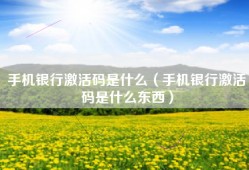 手机银行激活码是什么（手机银行激活码是什么东西）