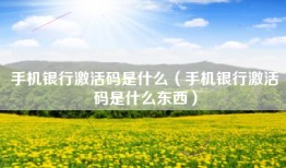 手机银行激活码是什么（手机银行激活码是什么东西）