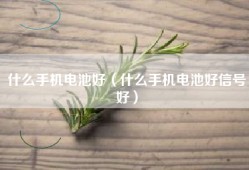 什么手机电池好（什么手机电池好信号好）