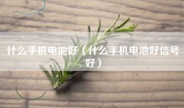 什么手机电池好（什么手机电池好信号好）