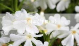手机x8（手机x80）