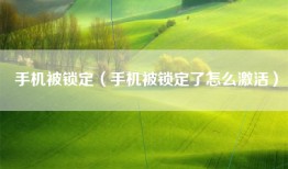 手机被锁定（手机被锁定了怎么激活）
