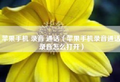 苹果手机 录音 通话（苹果手机录音通话录音怎么打开）