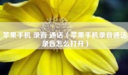 苹果手机 录音 通话（苹果手机录音通话录音怎么打开）