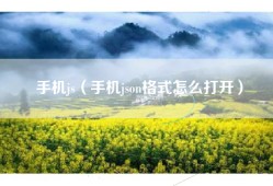 手机js（手机json格式怎么打开）