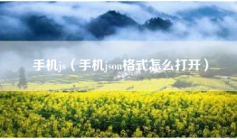 手机js（手机json格式怎么打开）