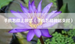 手机怎样上微信（手机怎样微信支付）