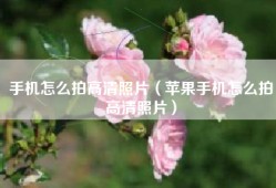 手机怎么拍高清照片（苹果手机怎么拍高清照片）