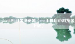 vivo手机自带浏览器（vivo手机自带浏览器下载）