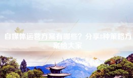 自媒体运营方案有哪些？分享8种策略方案给大家