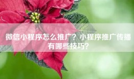 微信小程序怎么推广？小程序推广传播有哪些技巧？