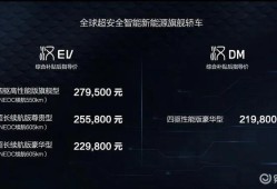 比亚迪汉EV、汉DM正式上市 中国品牌迎来自己的高光时刻