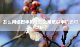怎么用纸做手机（怎么用纸做手机还可以玩）