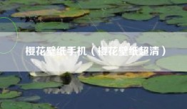 樱花壁纸手机（樱花壁纸超清）