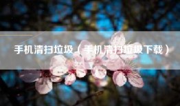 手机清扫垃圾（手机清扫垃圾下载）