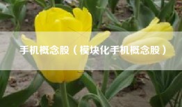 手机概念股（模块化手机概念股）