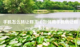 手机怎么转让群主（如何用手机转让群主）